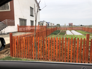 岳阳屈原管理区营田镇美化工程建设